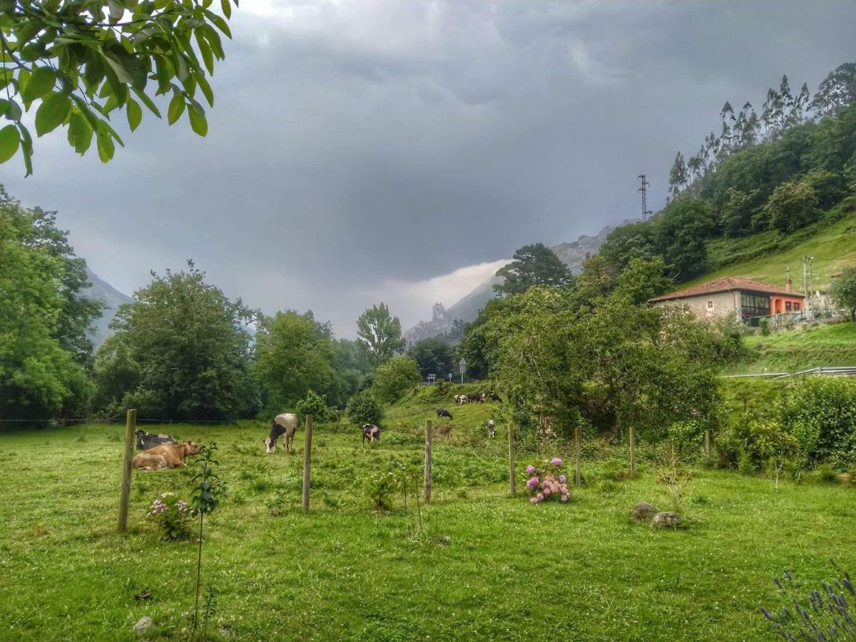 Casa Del Sella Βίλα El Llano Εξωτερικό φωτογραφία